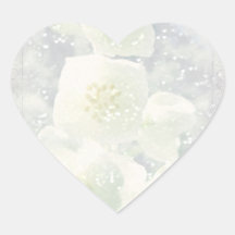 Jasmine Light Stickers