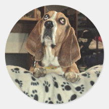 Jasmine Round Sticker