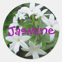 Jasmine Sticker