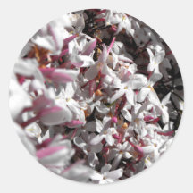 Jasmine Sticker