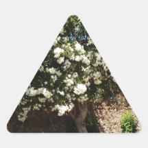Jasmine Tree In Bloom Triangle Sticker
