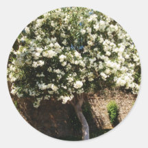 Jasmine Tree Round Sticker