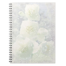 Jasmines Light Spiral Notebooks