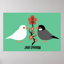 Java sparrow poster