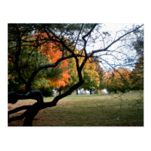 Jefferson Barracks Postcards