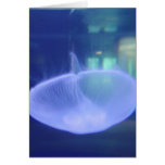 Jellyfish Greeting Card