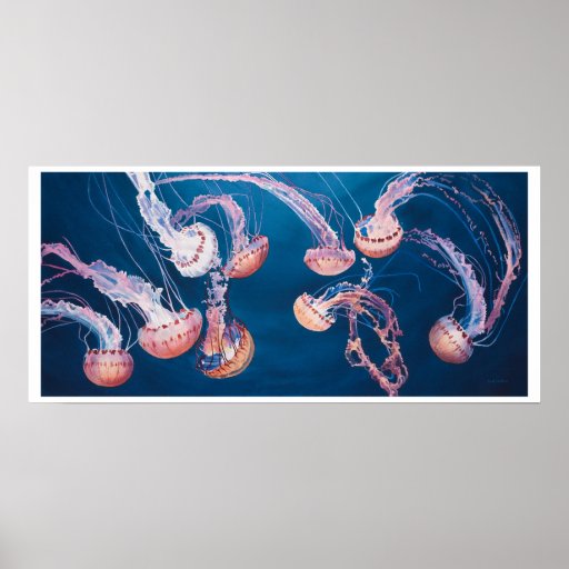 Jellyfish Jam by Paul Jackson, aws, nws Print