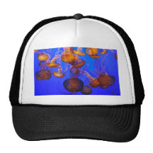 Jellyfish Mess Mesh Hat