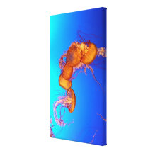 Jellyfish Wrapped Canvas Canvas Prints