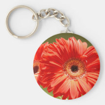 Jerbera Key Chains