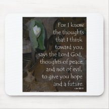 Jeremiah 29:11 hope for the future mouse pads