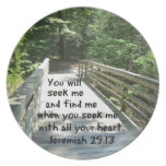Jeremiah 29:13 plate