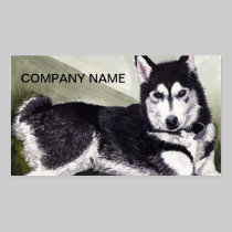 'Jet' Business Cards business cards