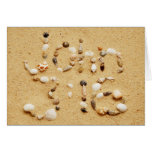 John 3:16 Seashells Card
