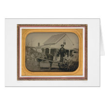 John Francis Freeman (40387) Cards