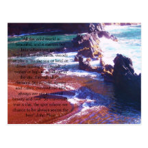 John Muir Post Card