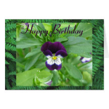 Johnny Jump Up Happy Birthday Greeting Card