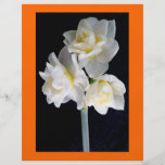 Jonquil Flower - Ecclesiastes 3:1 Full Colour Flyer