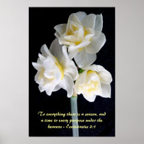 Jonquil Flower - Ecclesiastes 3:1 posters