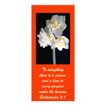 Jonquil Flower - Ecclesiastes 3:1 rack cards