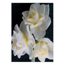 Jonquil Flower - Ecclesiastes 3:1 Tract Card / business cards