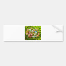 JOYOUS FIND.jpg Bumper Stickers