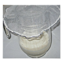 Jug of milk with white net photo