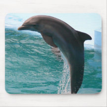 Jumping Dolphin Mouse Pad
