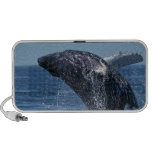 Jumping Humpback Whale  Portable Speakers