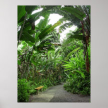 JUNGLE BENCH - HAWAII POSTER