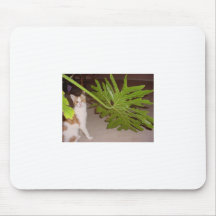 Jungle Cat Mouse Mat
