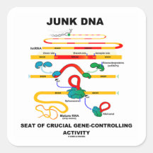 Junk DNA Seat Of Crucial Gene-Controlling Activity Sticker