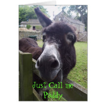 , Just Call me Paddy Greeting Cards