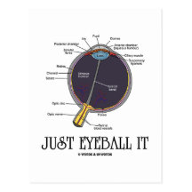 Just Eyeball It (Eye Anatomy Approximation Saying) Post Card