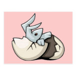 Just Hatched Post Cards