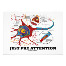 Just Pay Attention (Neuron / Synapse) Invite