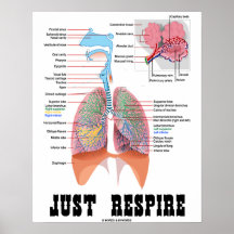 Just Respire (Respiratory System) Posters