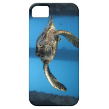 Juvenile green sea turtle iPhone 5 cases