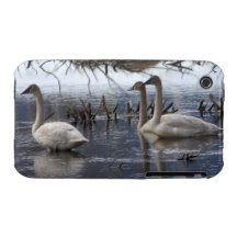 Juvenile Swans iPhone 3 Case-Mate Case