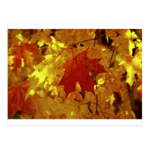 Kairos Fall Magic Postcards