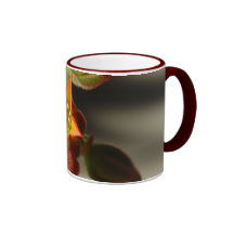 Kalanchoe Coffee Mugs