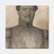 Kamehameha, Hawaii Magnet