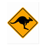 Kangaroo Road Sign Post Card