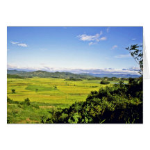 Kangwon-Do - Rice Paddies In Chorwon Greeting Cards