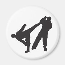 karate refrigerator magnets