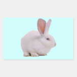 Kawaii Cute Bunny Rabbit Rectangular Stickers