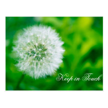 Keep In Touch  Postcard