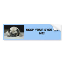 KEEP YOUR EYES ON ME! bumper stickers