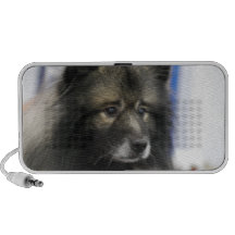 Keeshond Speakers