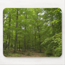 Kellerwald Forest Mouse Pads